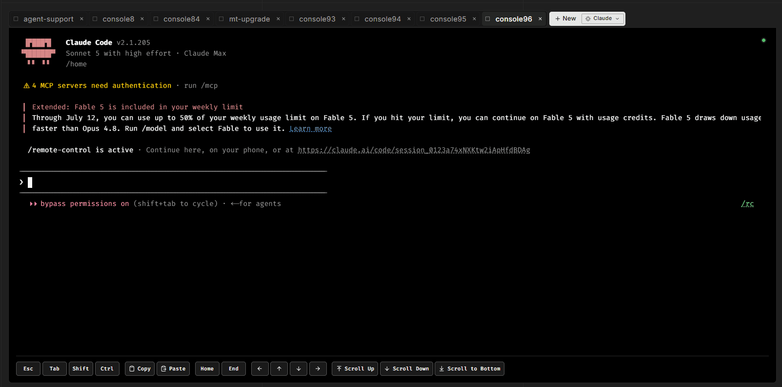 Hub Console tab open showing a Claude Code session running inside an environment