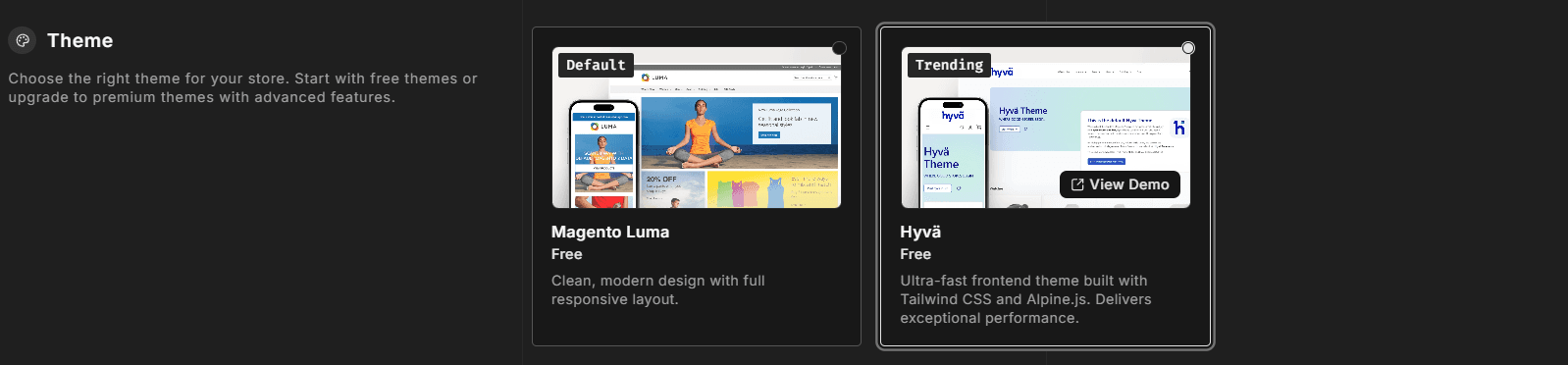 Theme section — free theme selected