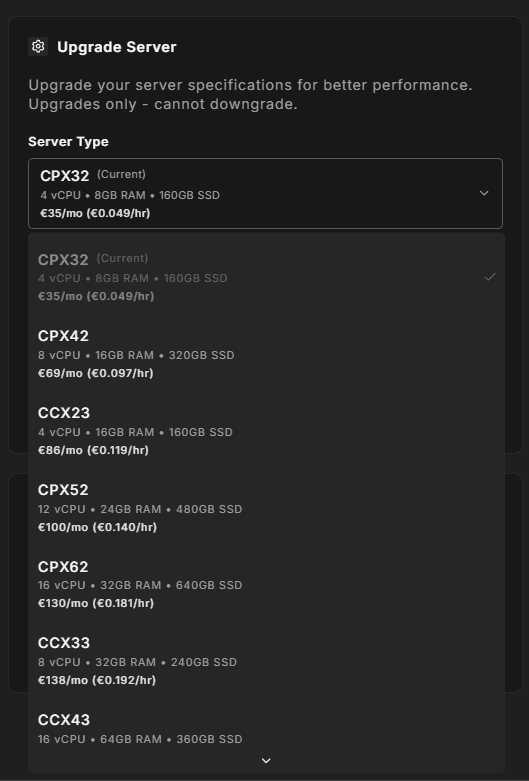 Resize Server panel showing a dropdown with available server types