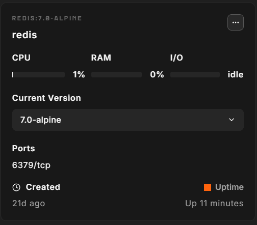 Containers tab showing the Redis container