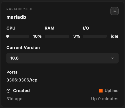 Hub Containers tab showing the mariadb container