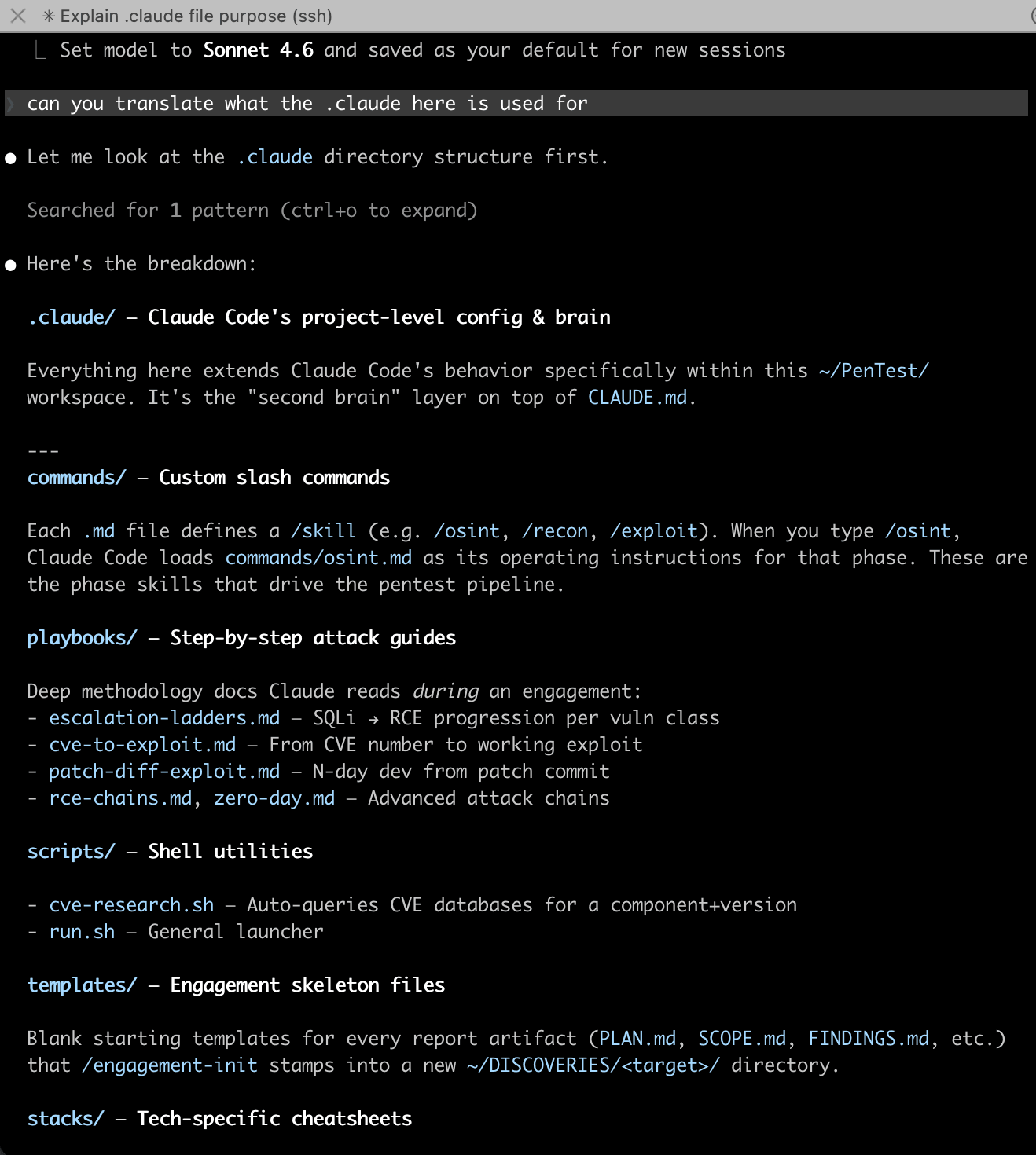 Some commands, hooks, templates, skills within .claude for Pentest