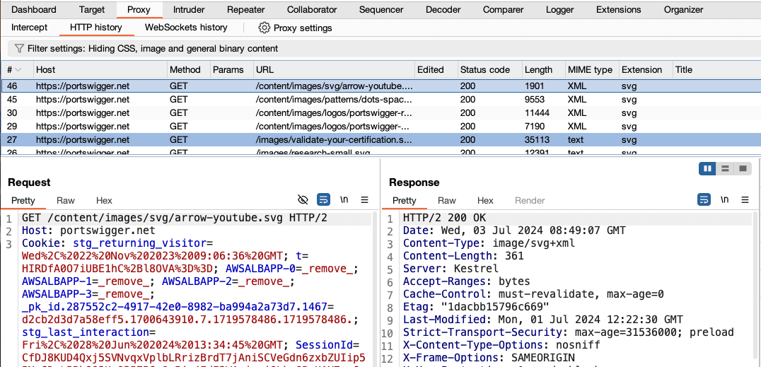 Example of Burpsuite Runs